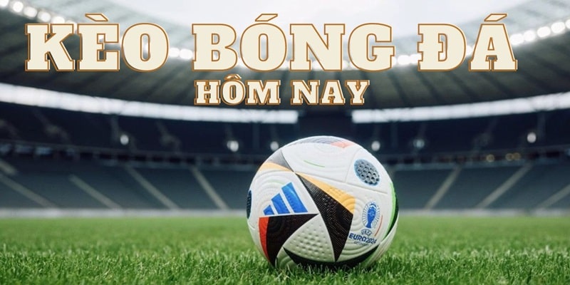 Giới thiệu tỷ lệ kèo bóng đá hôm nay tại ww88
